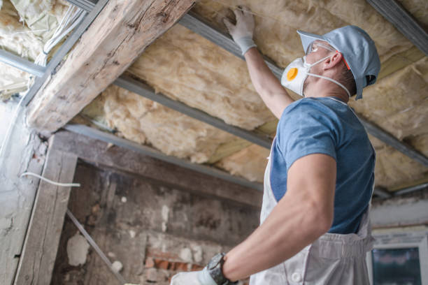 Best Insulation for Specific Applications in Greenacres, CA