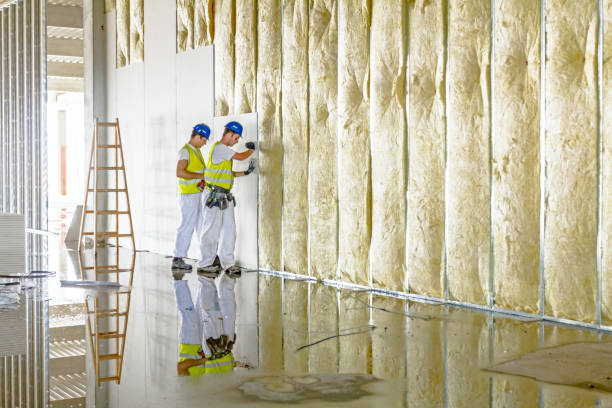 Types of Insulation We Offer in Greenacres, CA